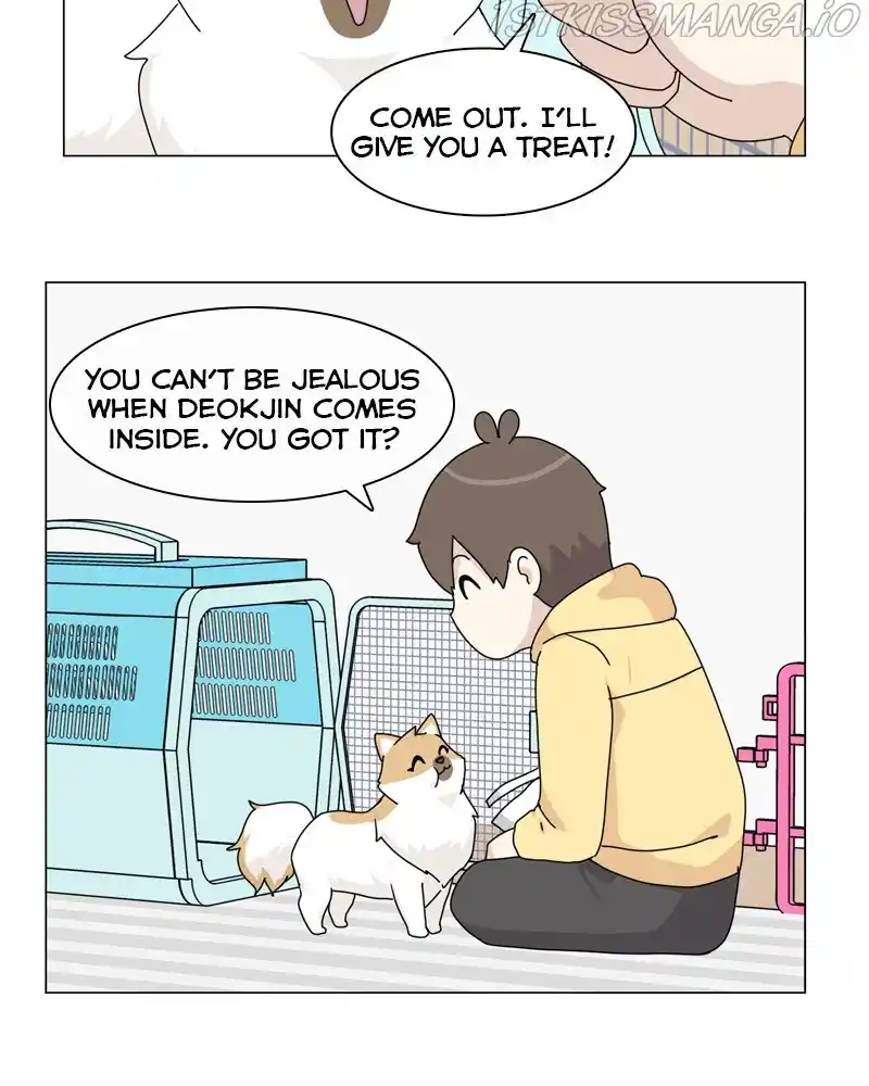 The Dog Diaries Chapter 51