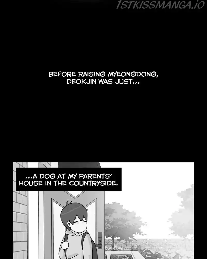 The Dog Diaries Chapter 51