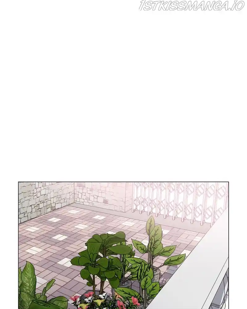 The Dog Diaries Chapter 52