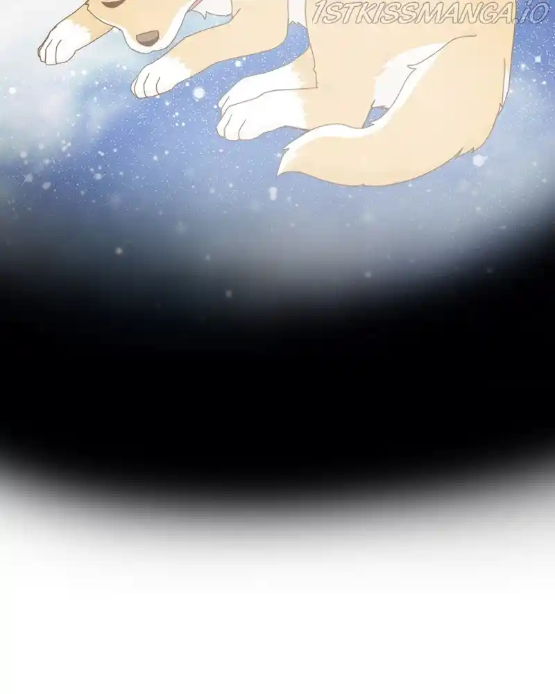 The Dog Diaries Chapter 52