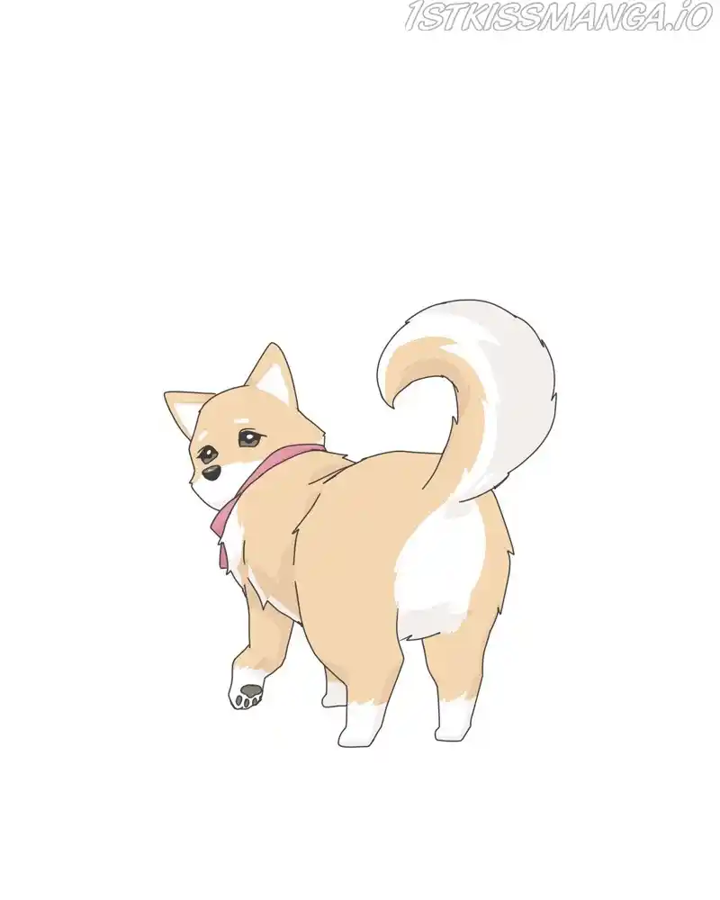 The Dog Diaries Chapter 52