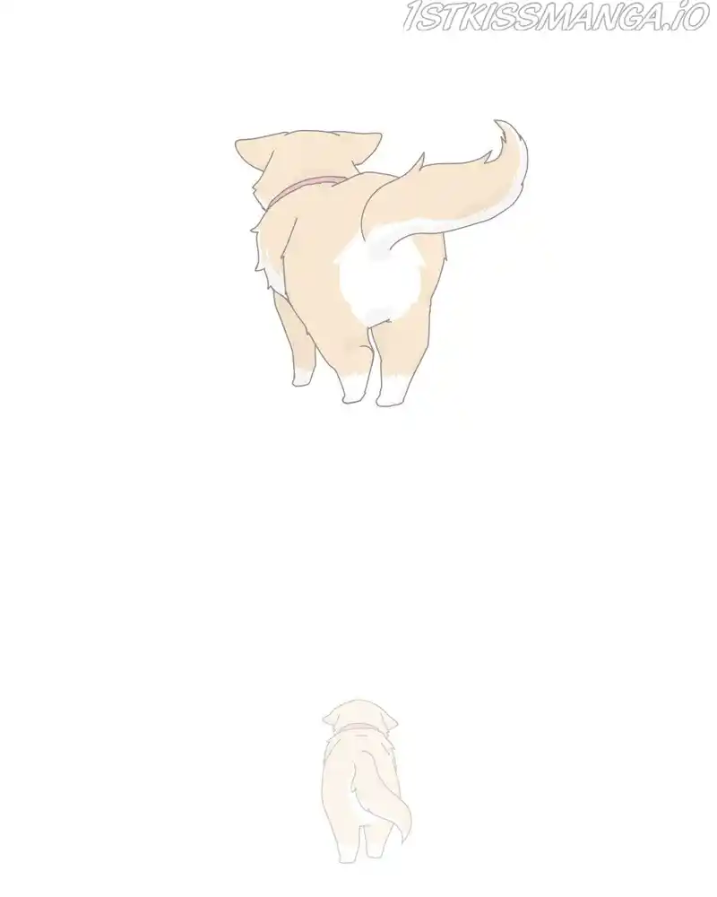 The Dog Diaries Chapter 52