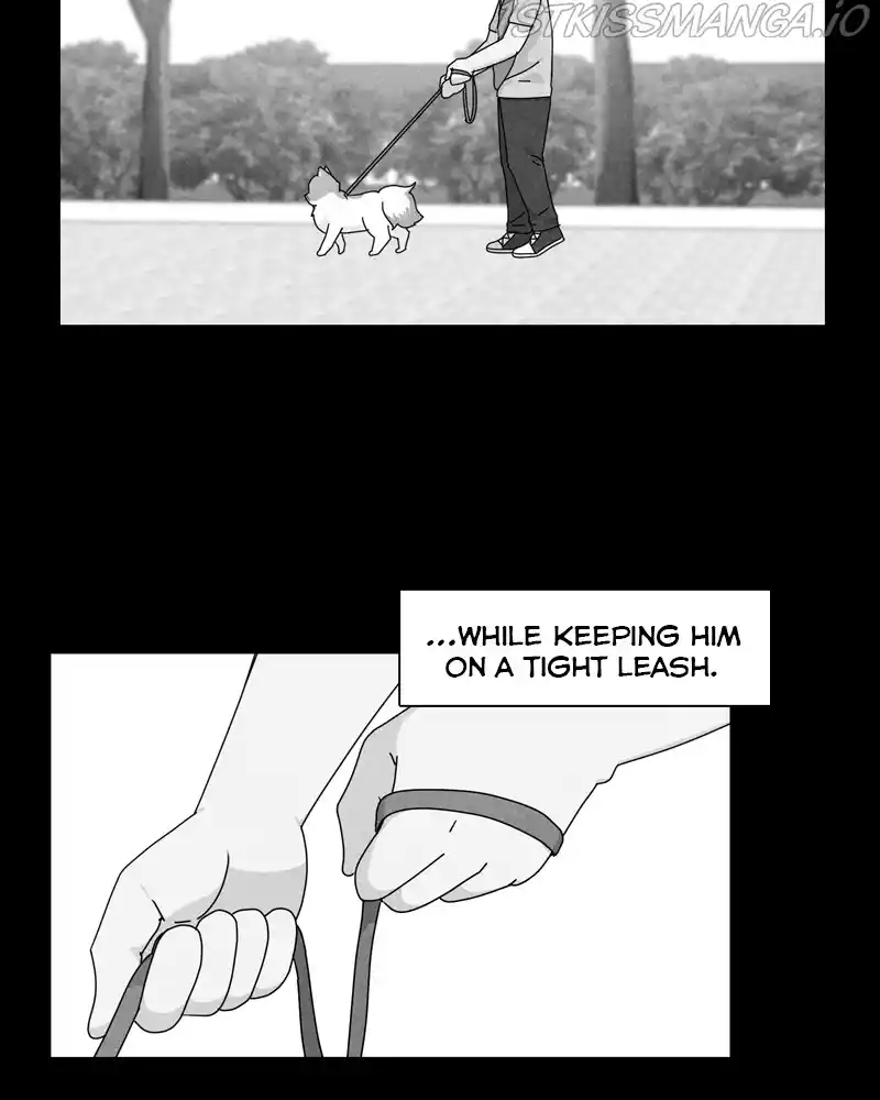 The Dog Diaries Chapter 53