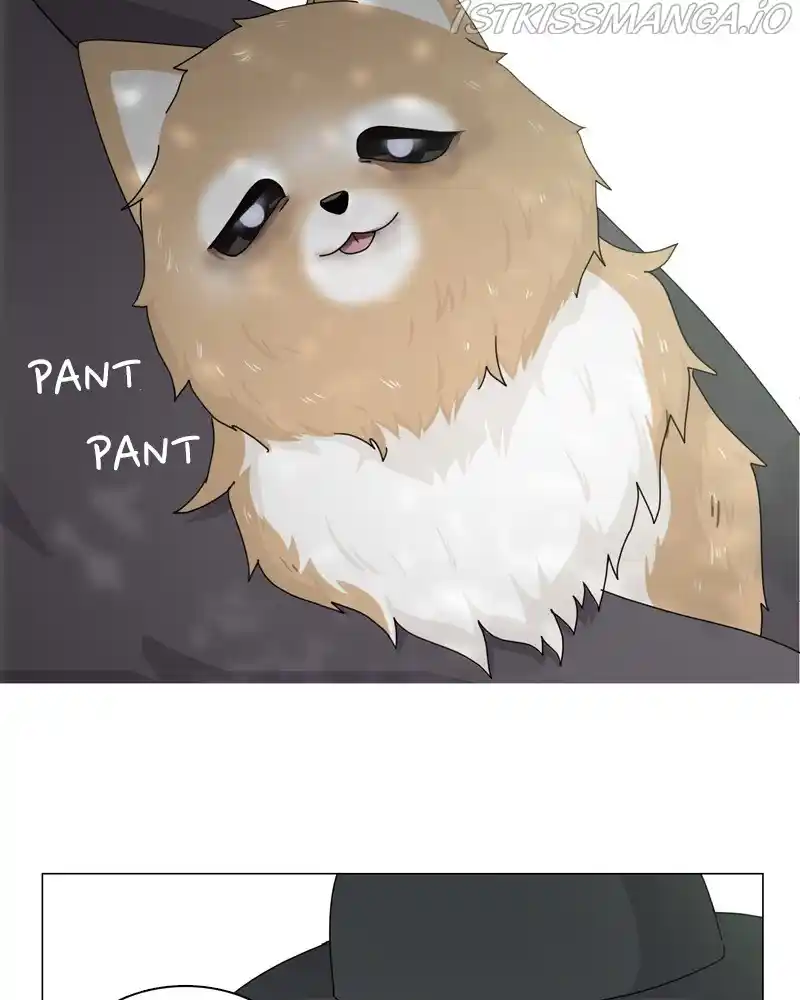 The Dog Diaries Chapter 54