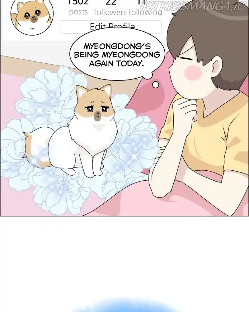 The Dog Diaries Chapter 55