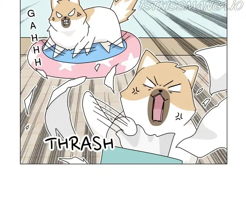 The Dog Diaries Chapter 55