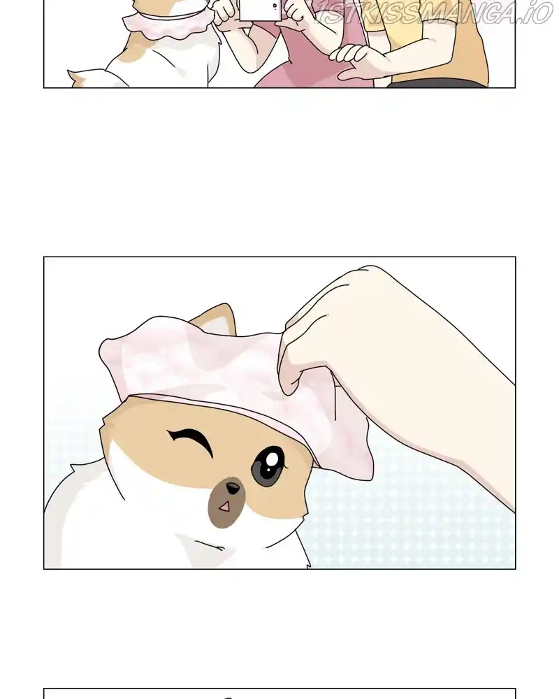 The Dog Diaries Chapter 55