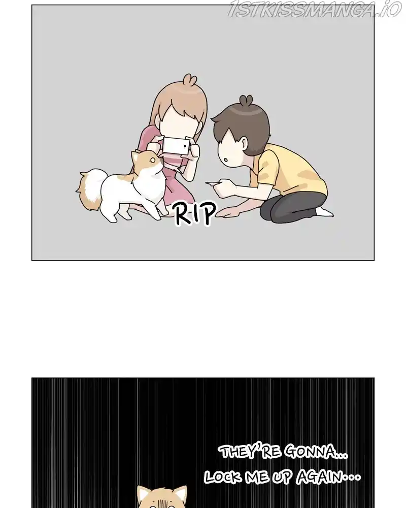 The Dog Diaries Chapter 55