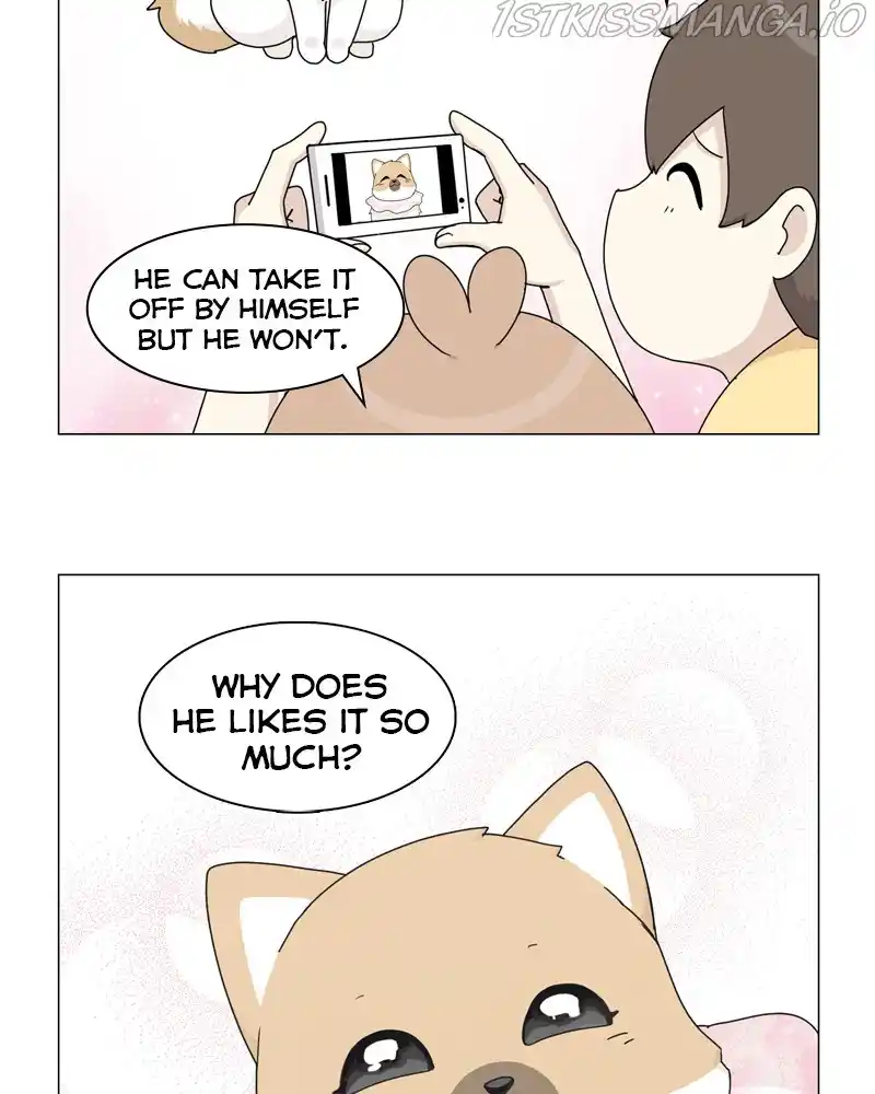 The Dog Diaries Chapter 55