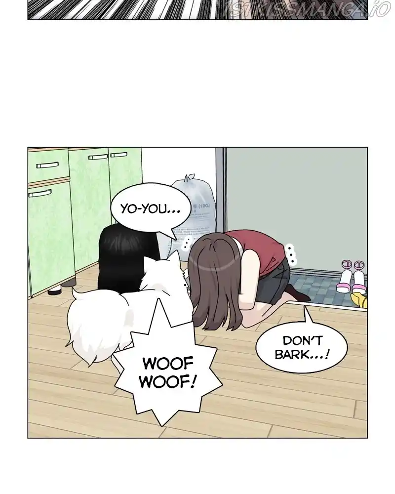 The Dog Diaries Chapter 56