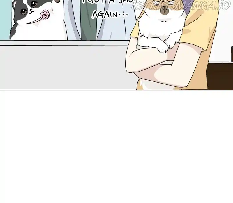 The Dog Diaries Chapter 57