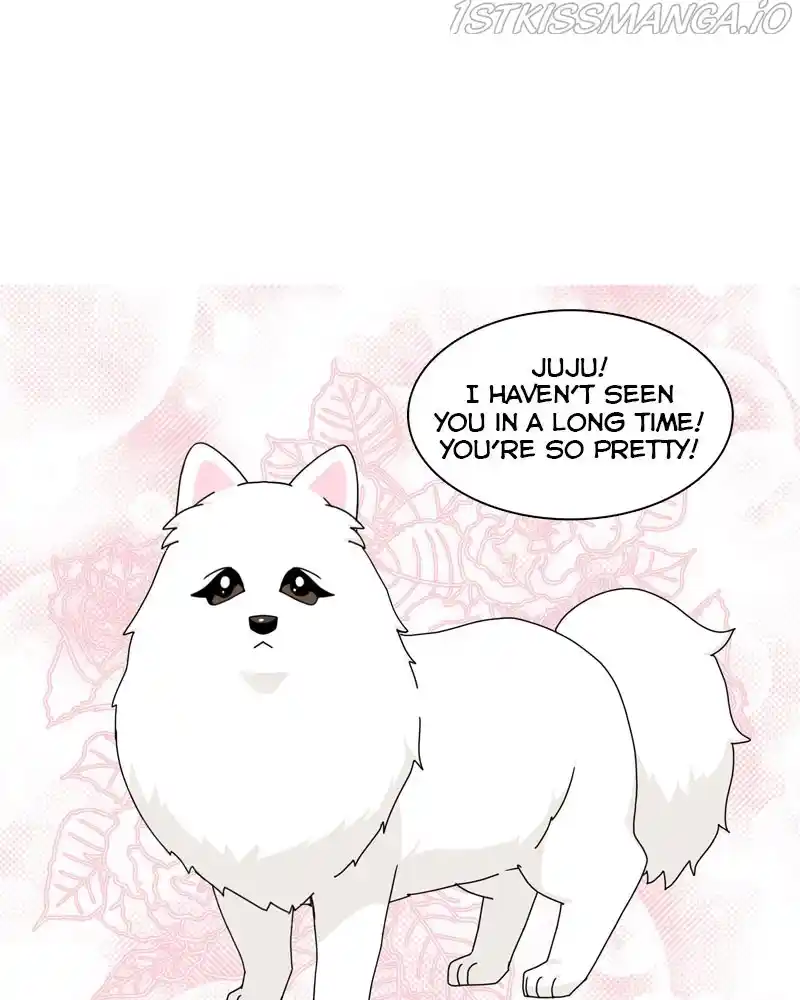 The Dog Diaries Chapter 57