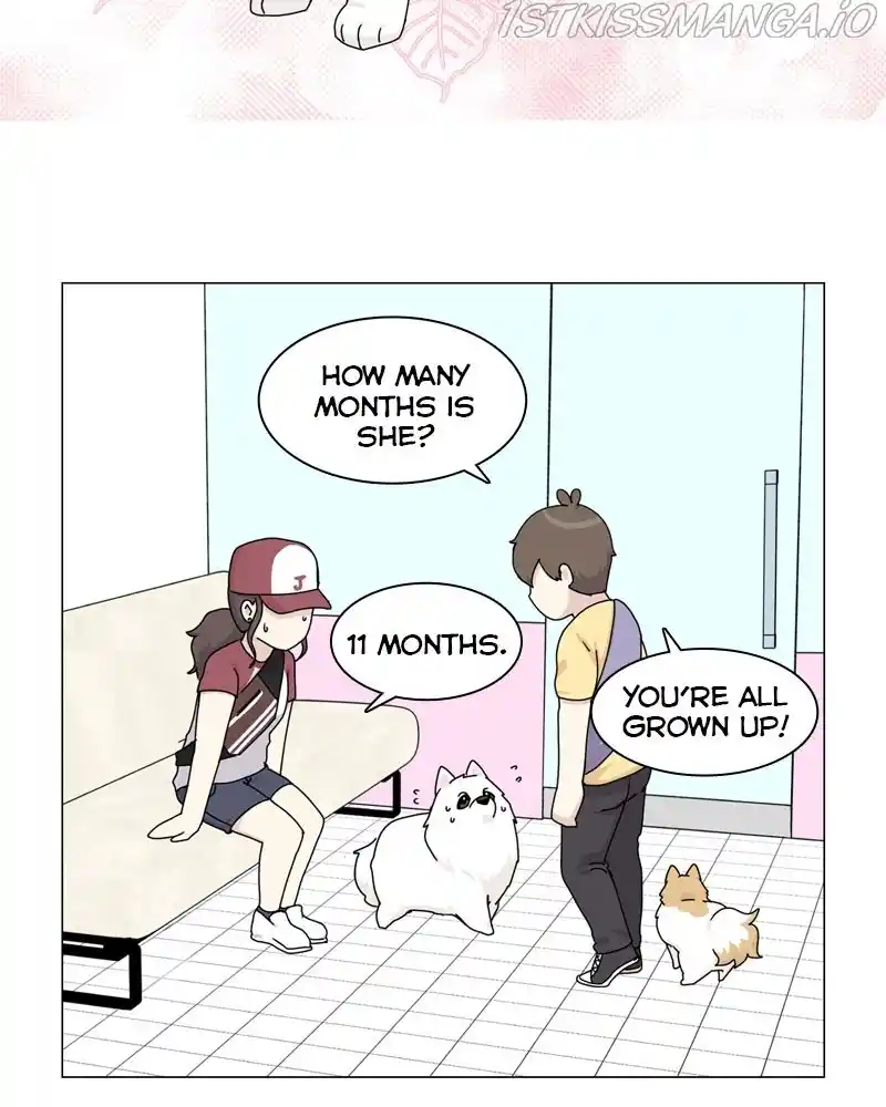 The Dog Diaries Chapter 57