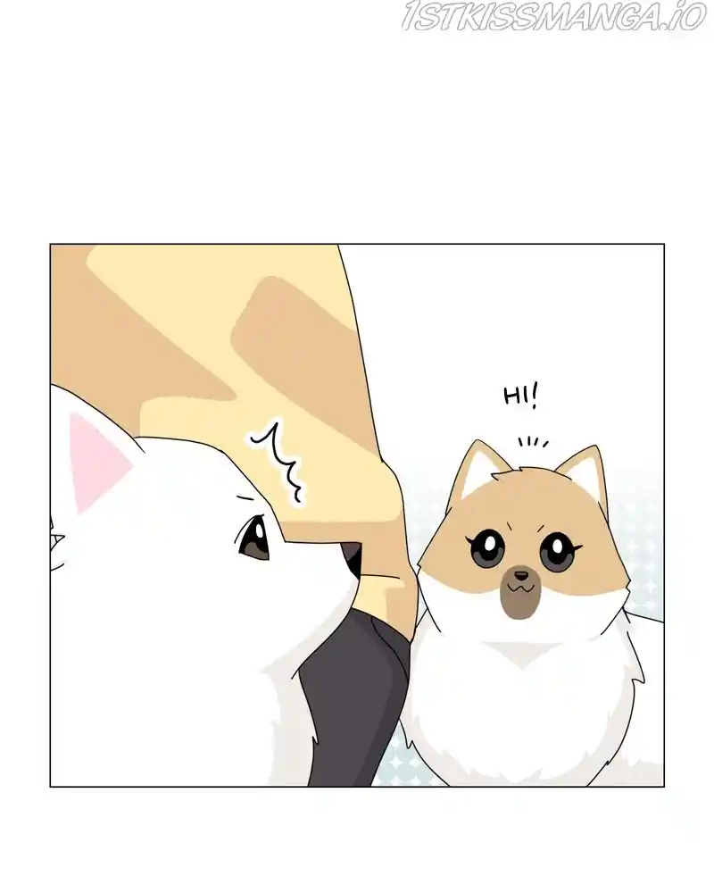 The Dog Diaries Chapter 57