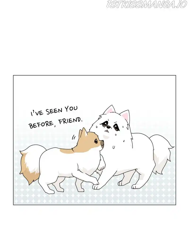 The Dog Diaries Chapter 57