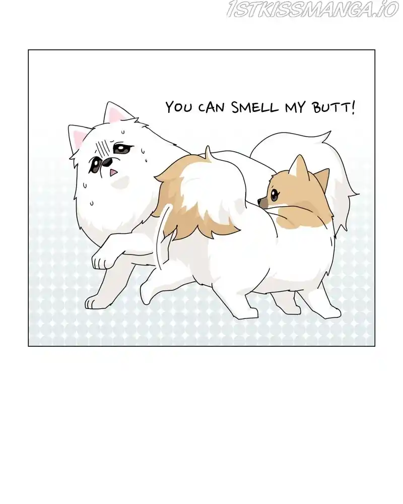 The Dog Diaries Chapter 57