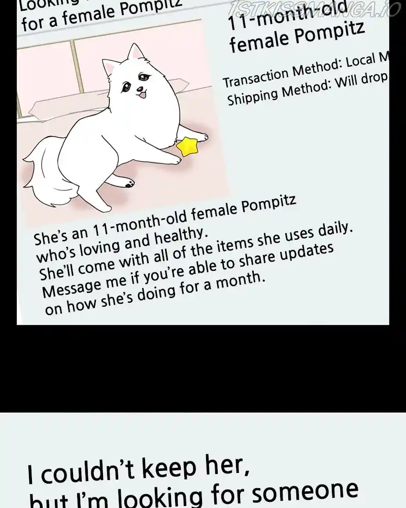 The Dog Diaries Chapter 57