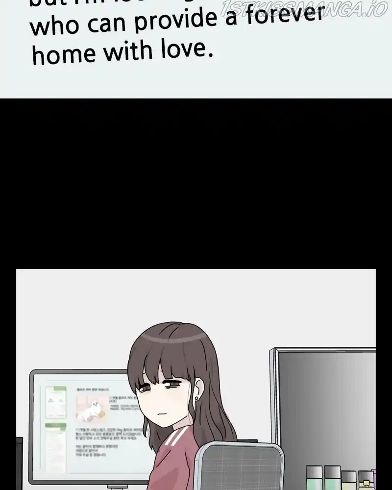 The Dog Diaries Chapter 57