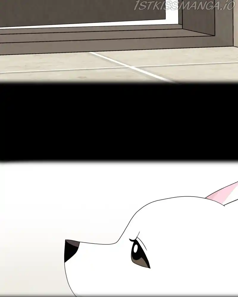 The Dog Diaries Chapter 58