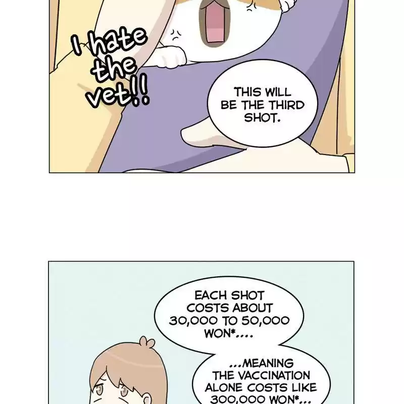 The Dog Diaries Chapter 6