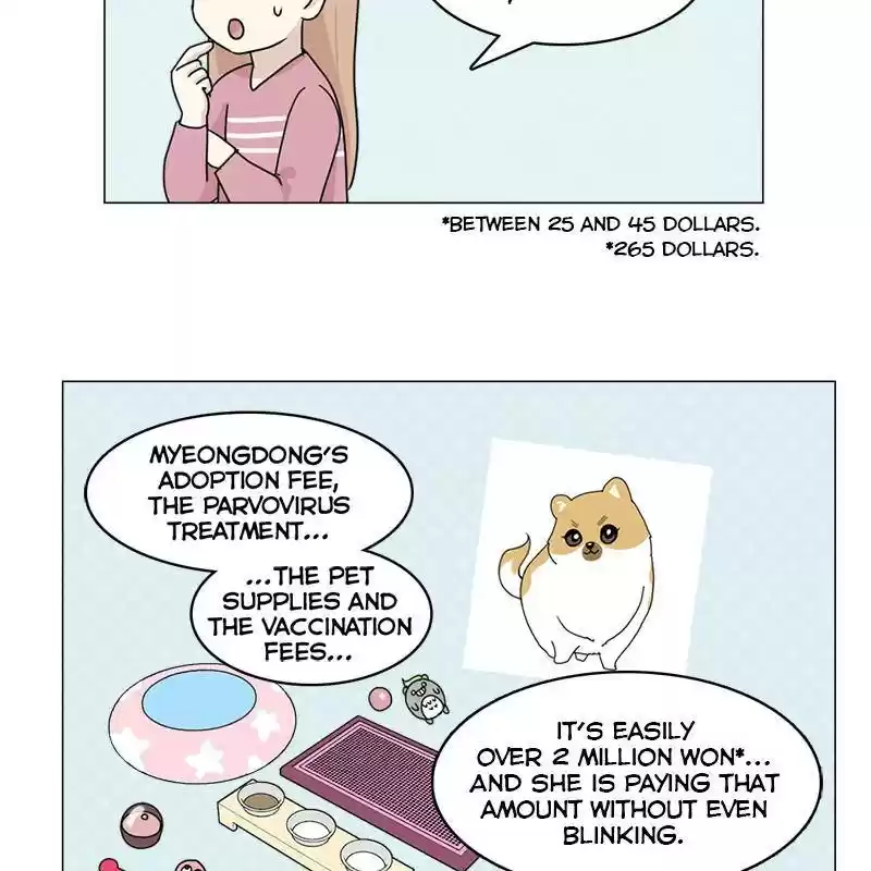 The Dog Diaries Chapter 6