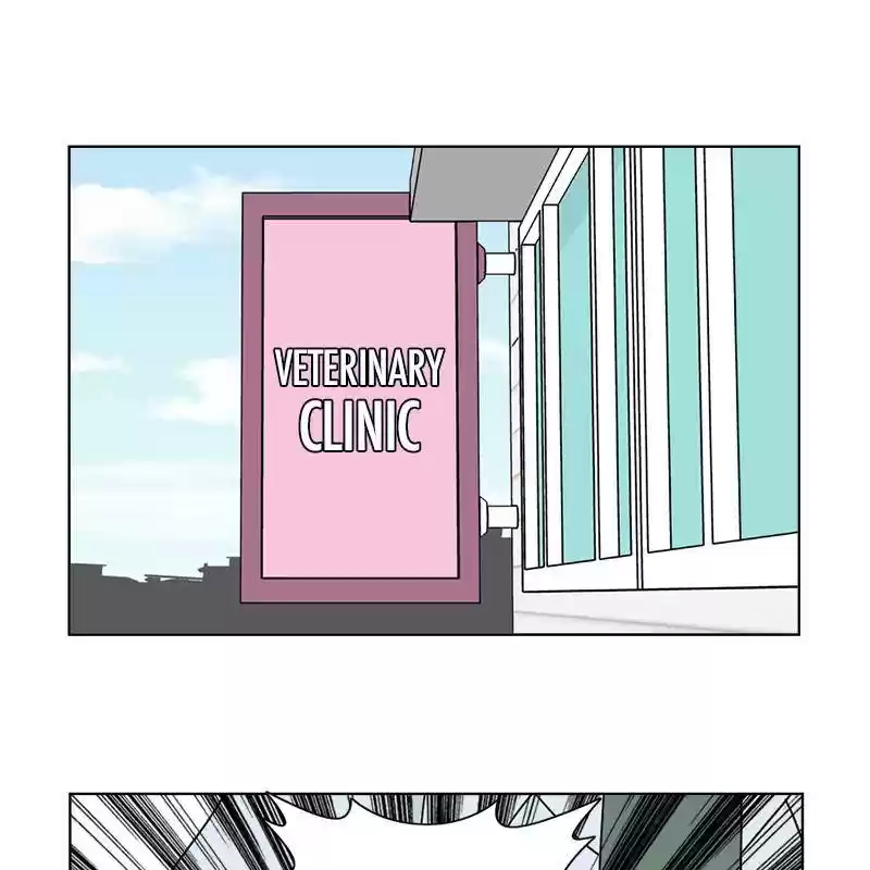 The Dog Diaries Chapter 6