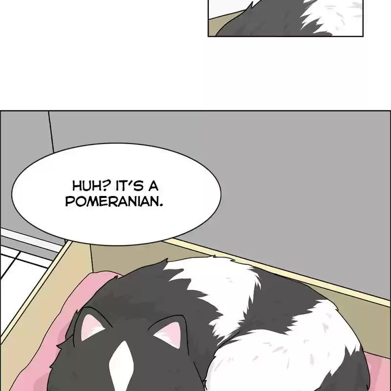 The Dog Diaries Chapter 6