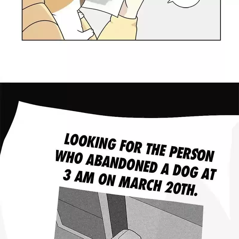 The Dog Diaries Chapter 6