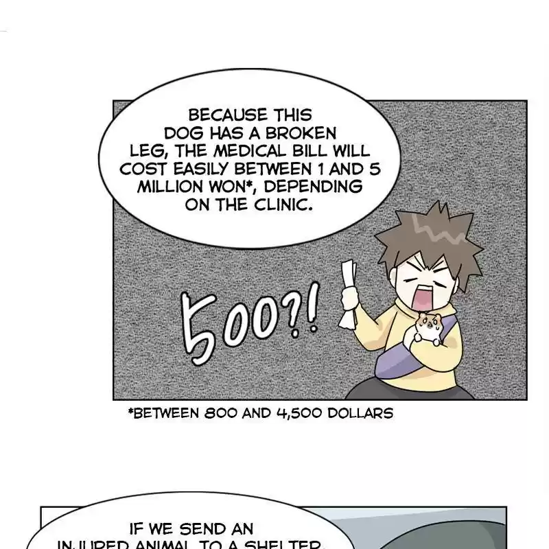 The Dog Diaries Chapter 6