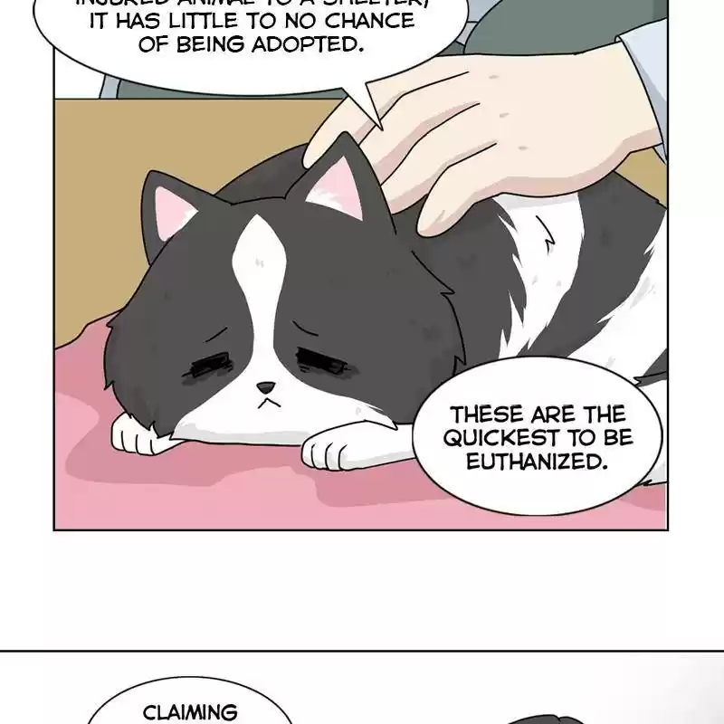 The Dog Diaries Chapter 6