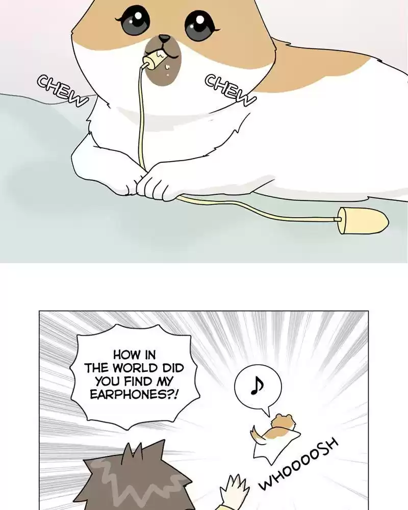 The Dog Diaries Chapter 6