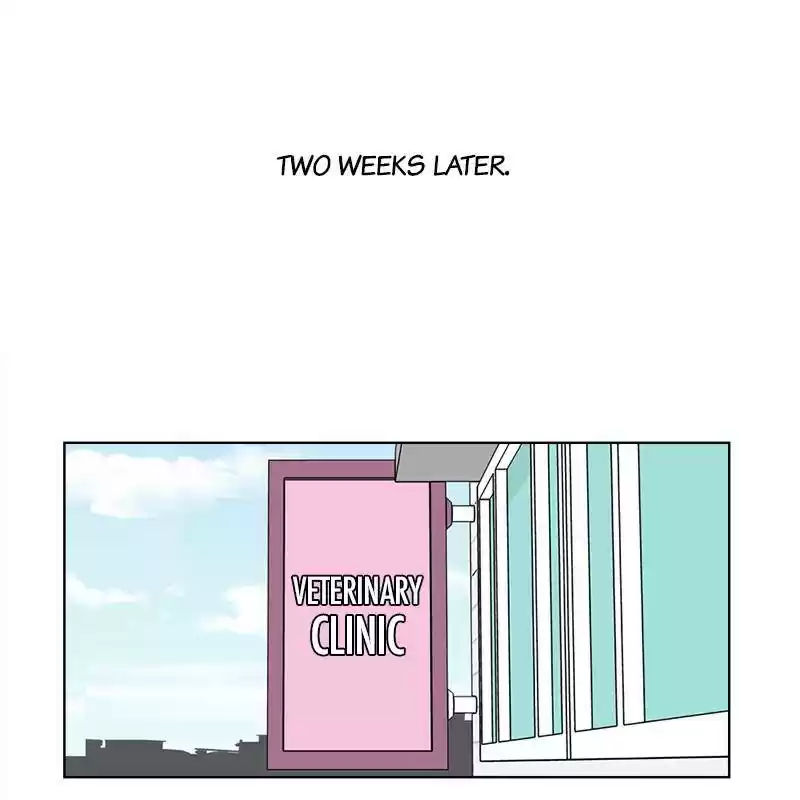 The Dog Diaries Chapter 6