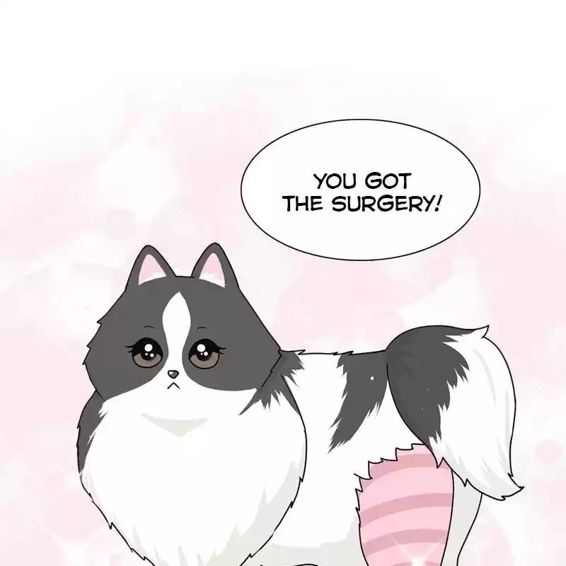 The Dog Diaries Chapter 6