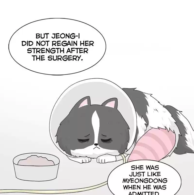 The Dog Diaries Chapter 6