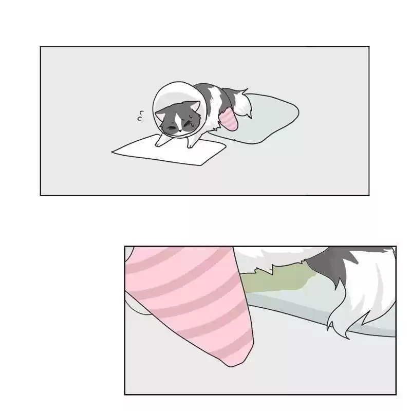 The Dog Diaries Chapter 6