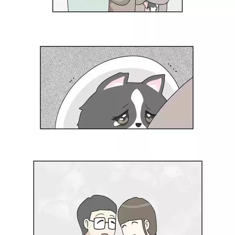 The Dog Diaries Chapter 6