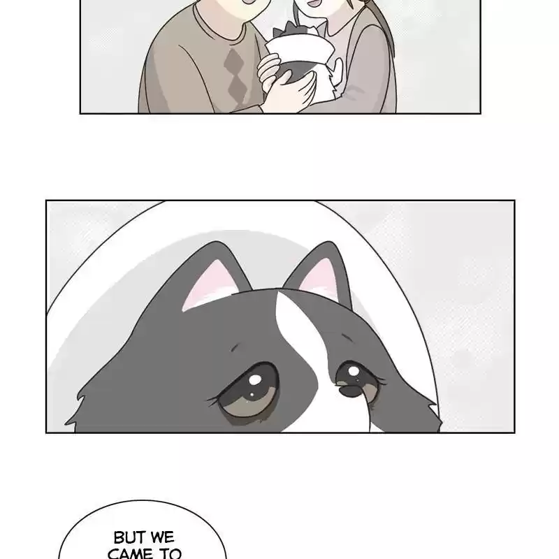 The Dog Diaries Chapter 6