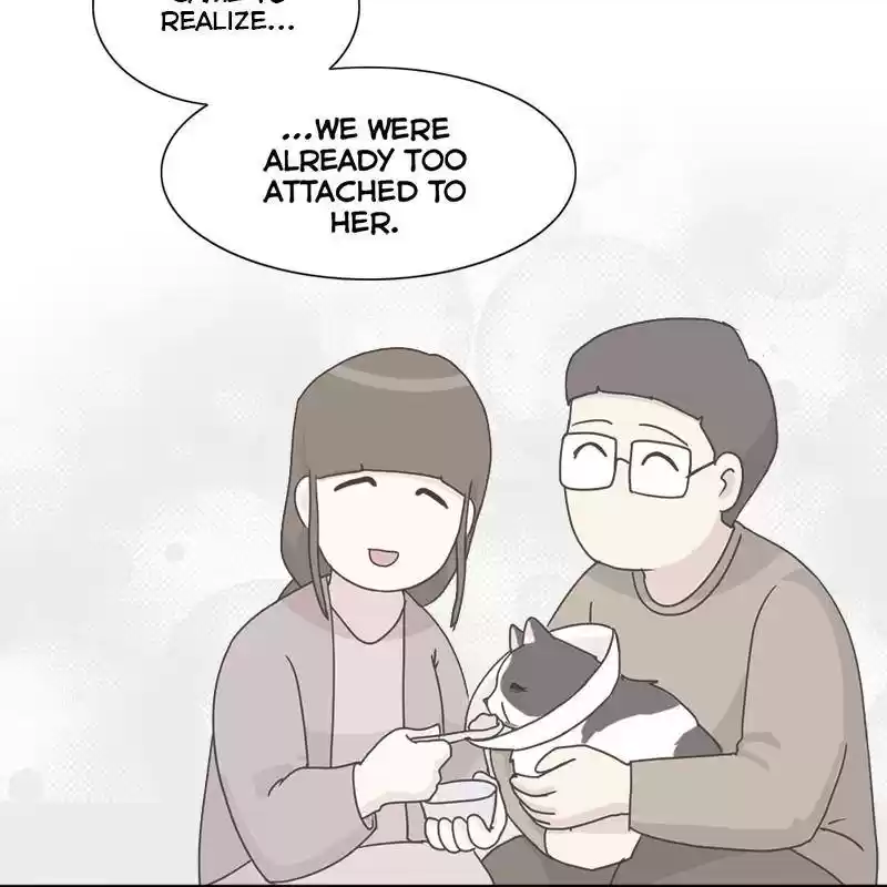 The Dog Diaries Chapter 6