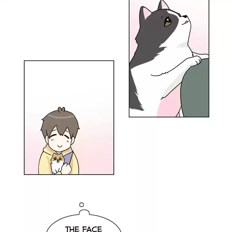 The Dog Diaries Chapter 6