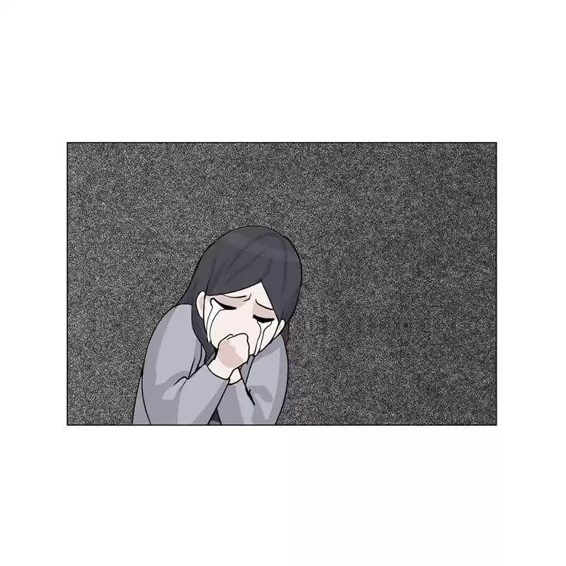 The Dog Diaries Chapter 6