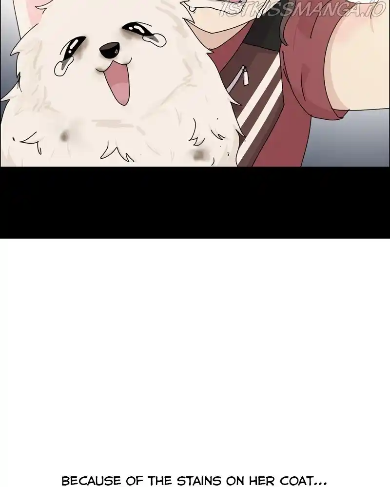 The Dog Diaries Chapter 60