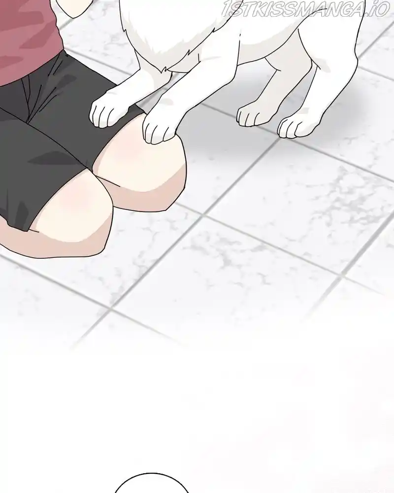 The Dog Diaries Chapter 60