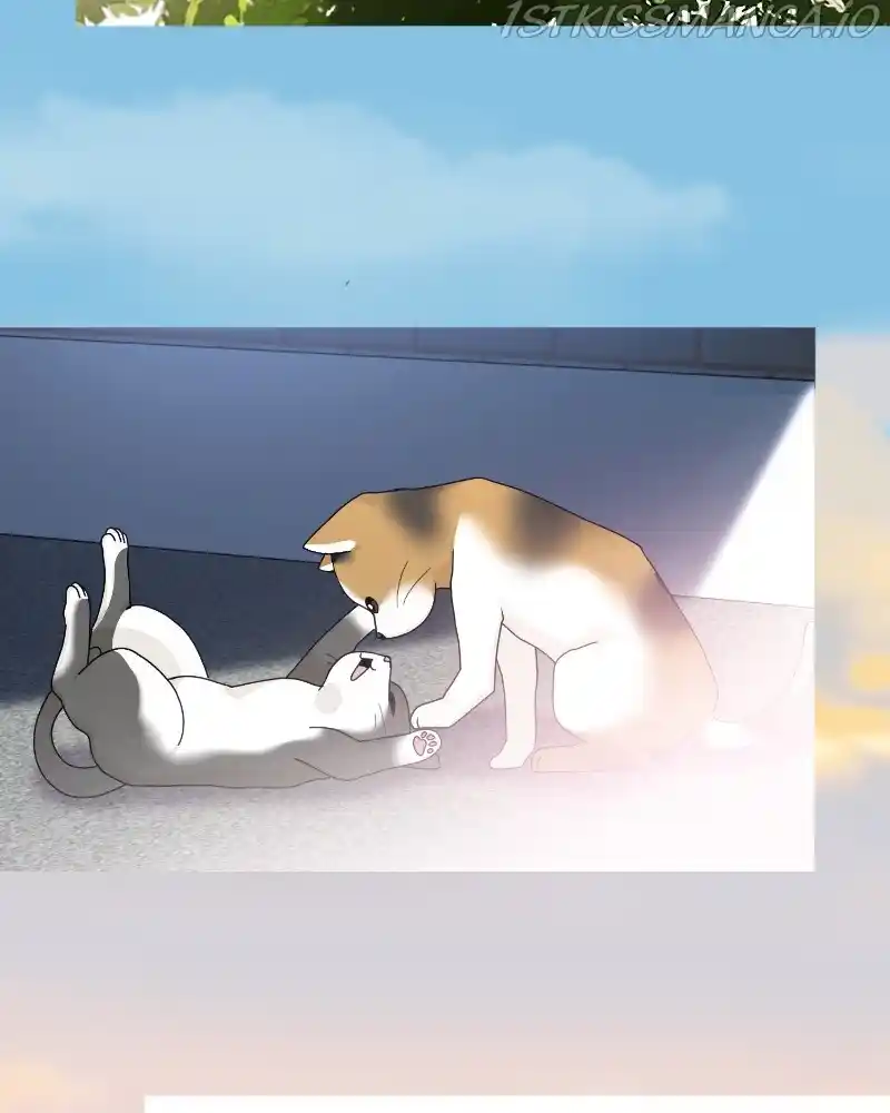 The Dog Diaries Chapter 61