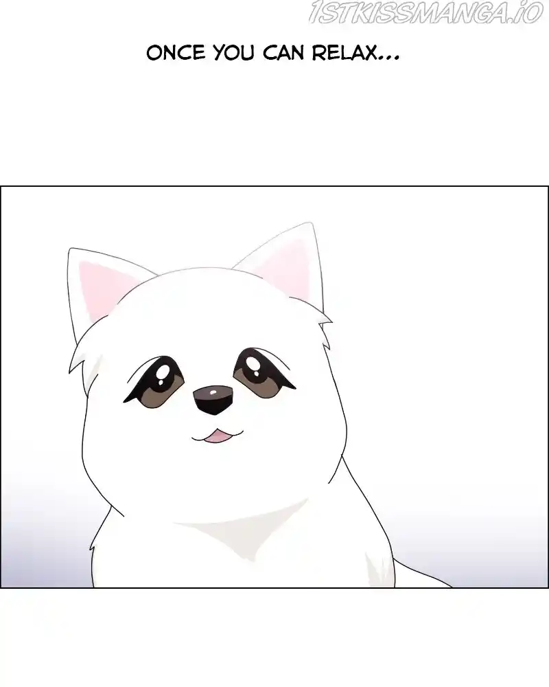 The Dog Diaries Chapter 61