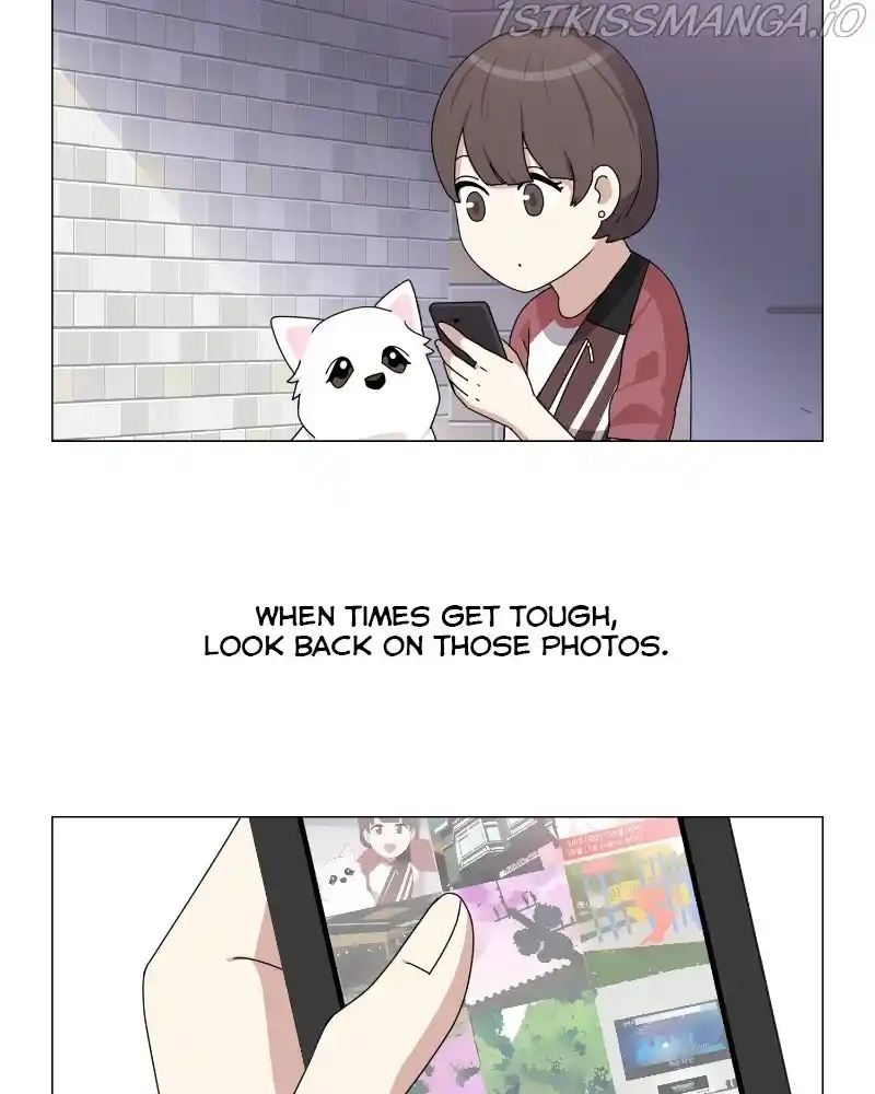 The Dog Diaries Chapter 61