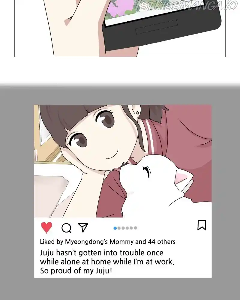 The Dog Diaries Chapter 61