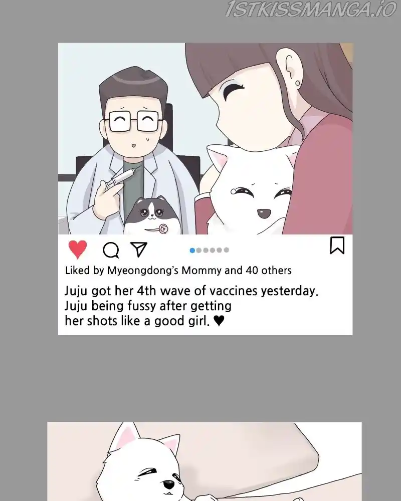 The Dog Diaries Chapter 61