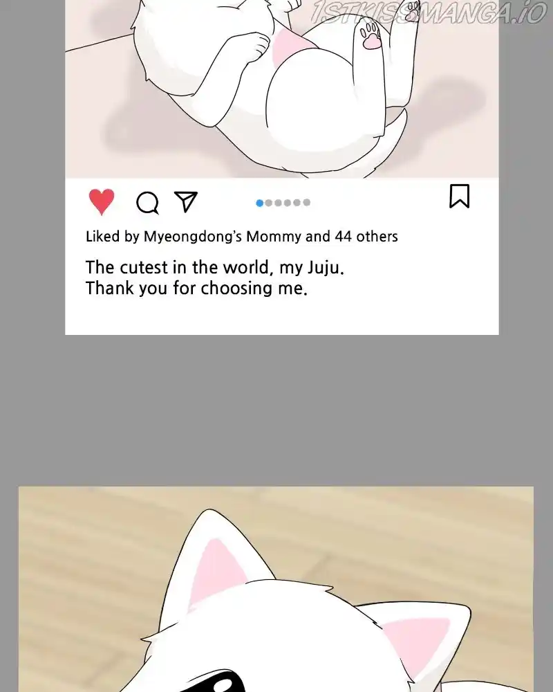 The Dog Diaries Chapter 61