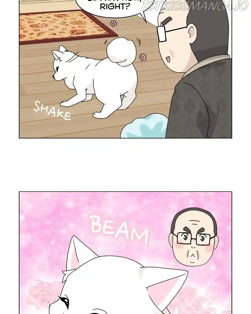 The Dog Diaries Chapter 62