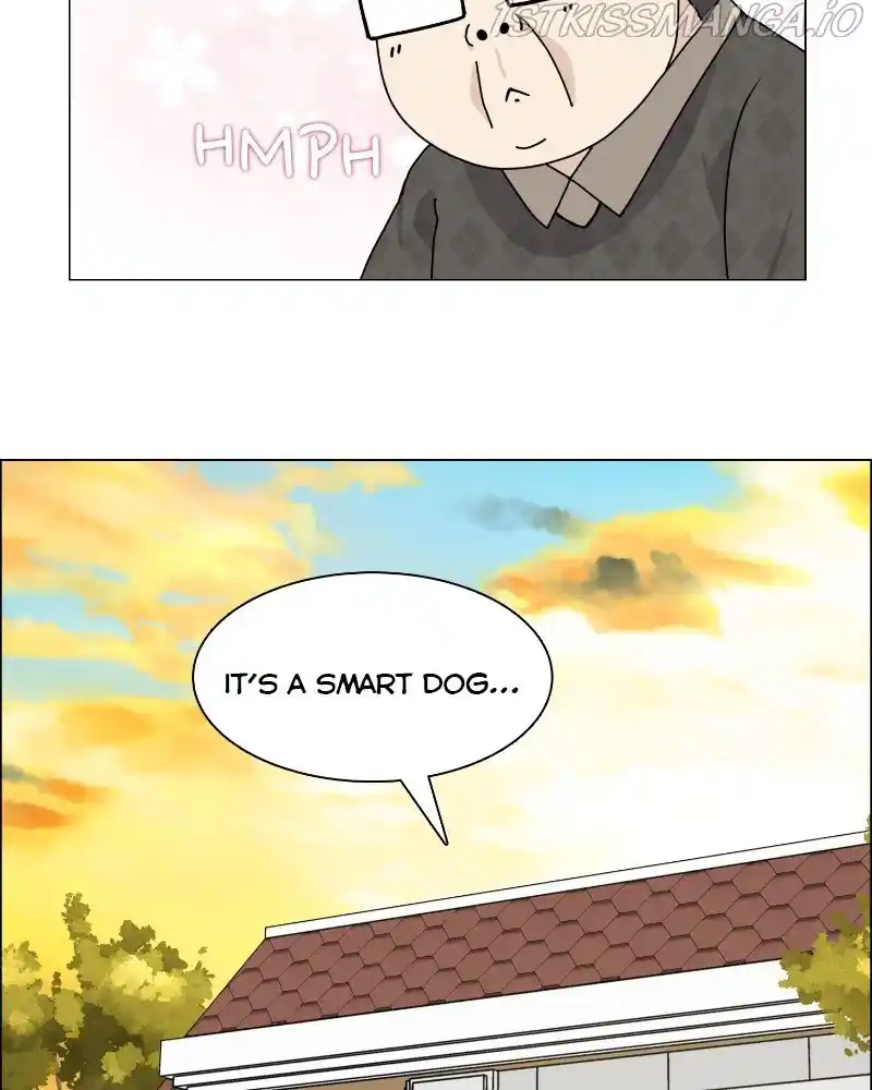 The Dog Diaries Chapter 62